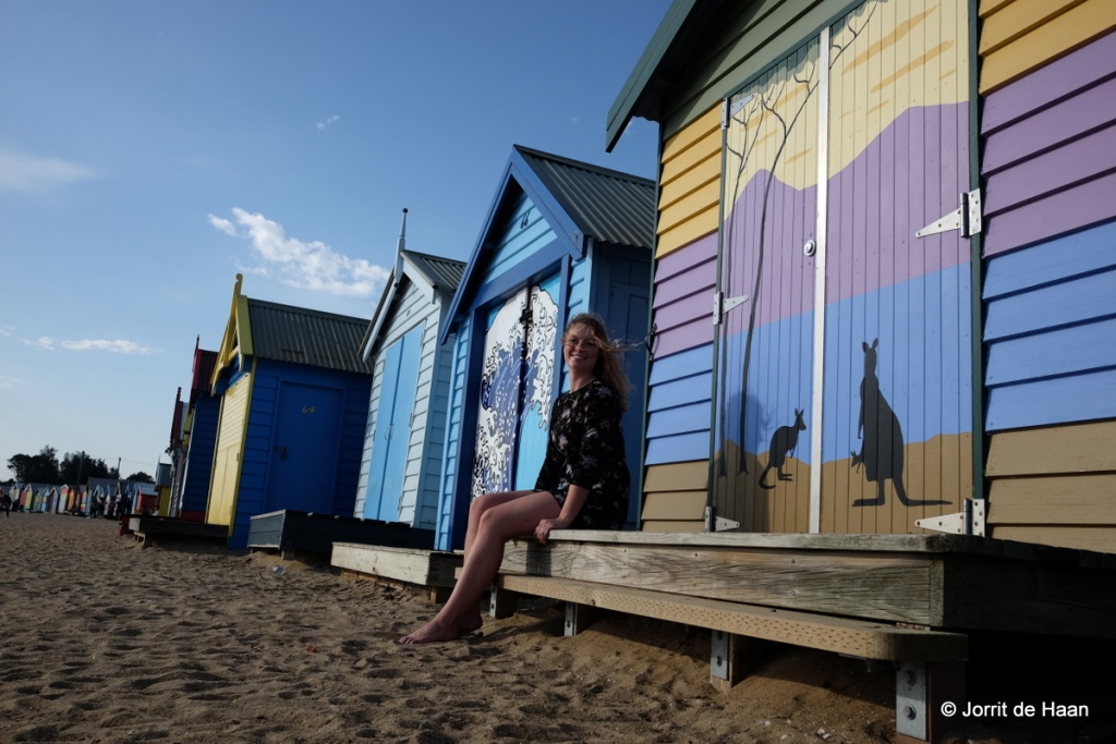 Long caption: Brighton Beach Boxes